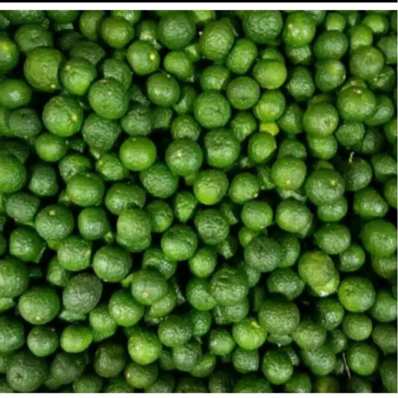 

jeruk sambal limau 1kg