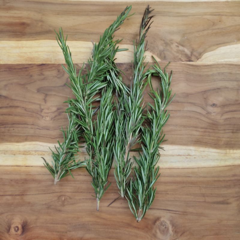 

daun rosemary segar fresh 35 gr