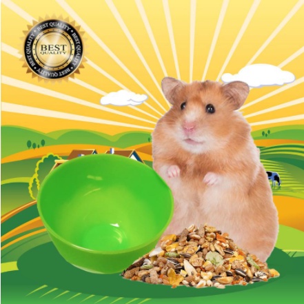 Tempat Makan Hamster Tempat Snack Hamster Tempat Makan Sugar Glider MURAH