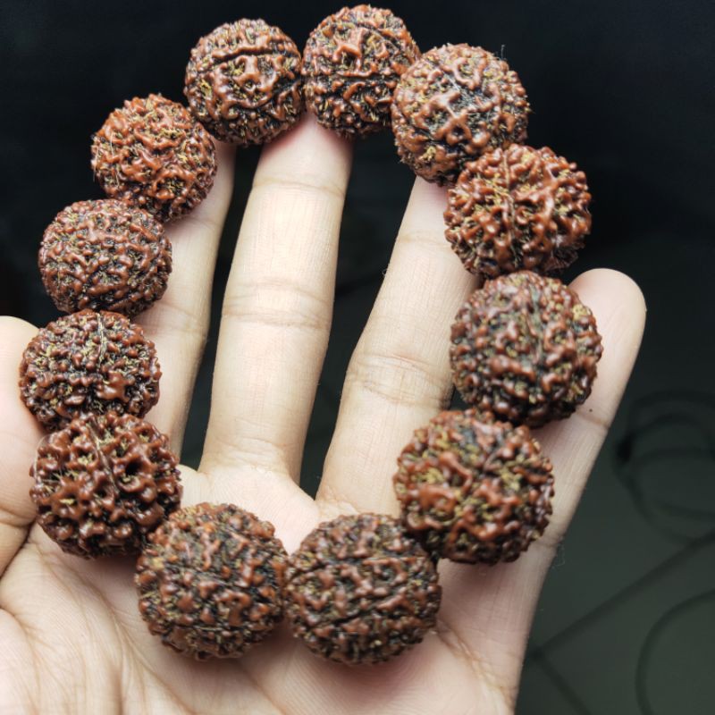 rudraksha mukhi 8 original rudraksha