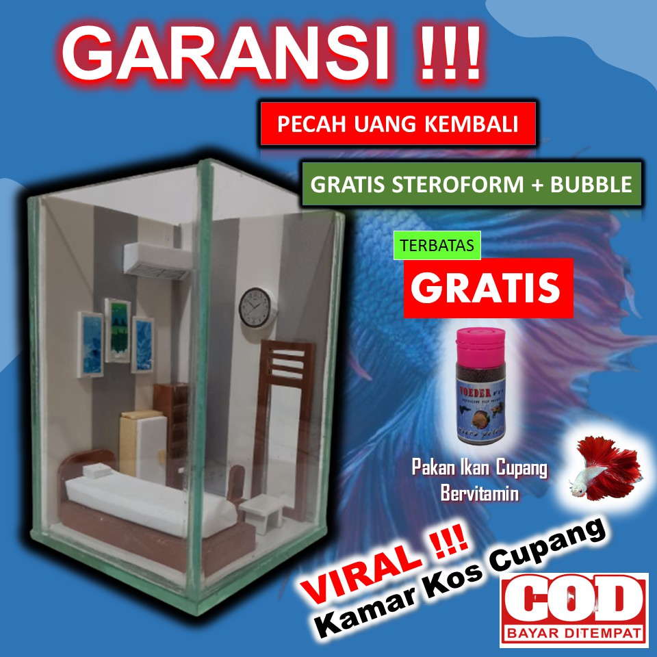 Aquarium Mini Akuarium Aquascape Soliter Mini Kamar Kos Ikan Cupang Minimalis Cantik