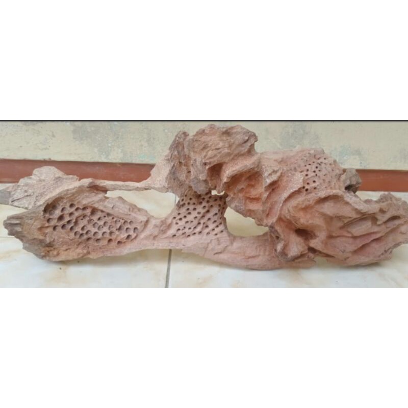 kayu rentek aquascape