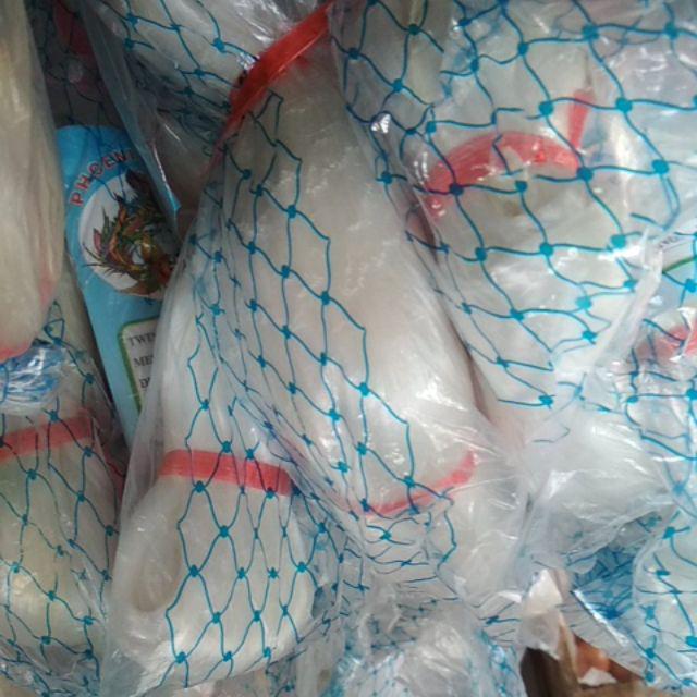 Jaring Burung Senar 2.¼012 100/100 Yoko