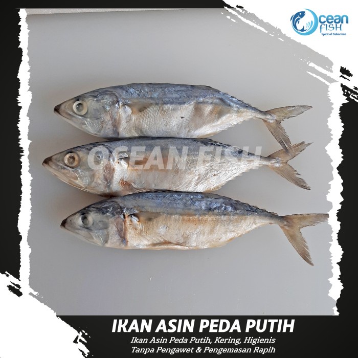 

Ikan Asin Peda Putih - Ikan Asin Peda Tanpa Pengawet - Ikan Asin Premium