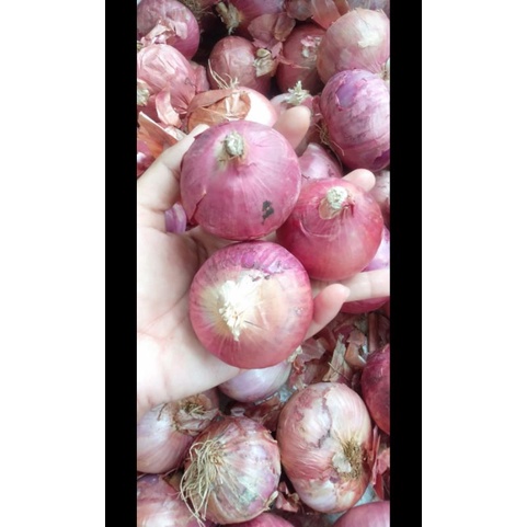 

bawang merah super berat 1 kg