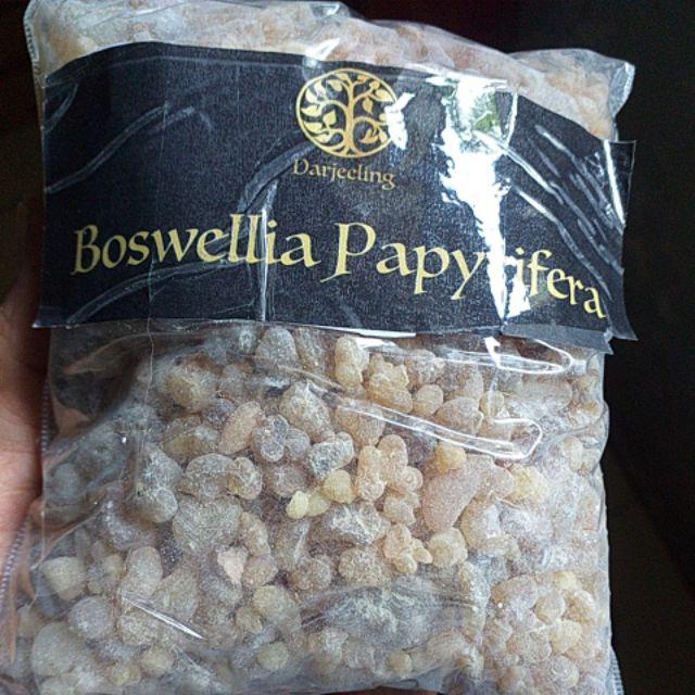 250g Kemenyan Arab Luban Frankincense Boswellia Papyrifera