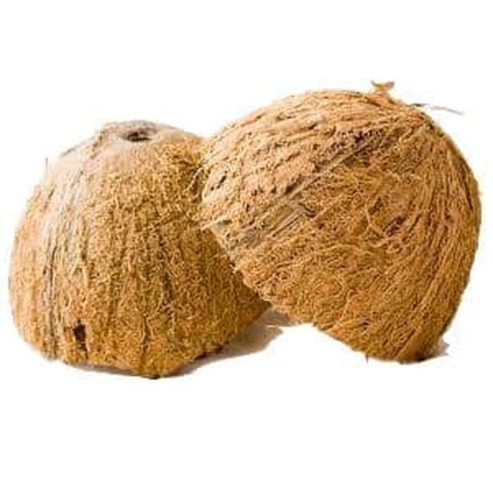 Batok Kelapa Kering
