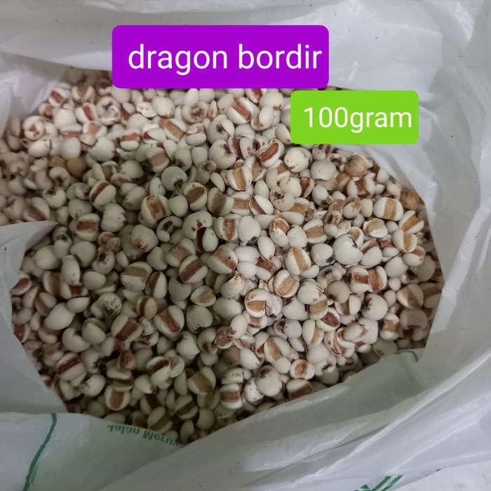 

Q121Sa Barley Super / Biji Jali Jali 100Gr D51qs44