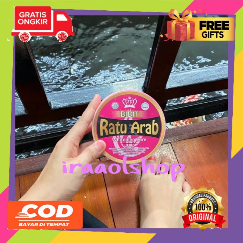 BIBIT RATU ARAB | RATU ARAB | BIBIT RATU ARAB ORIGINAL