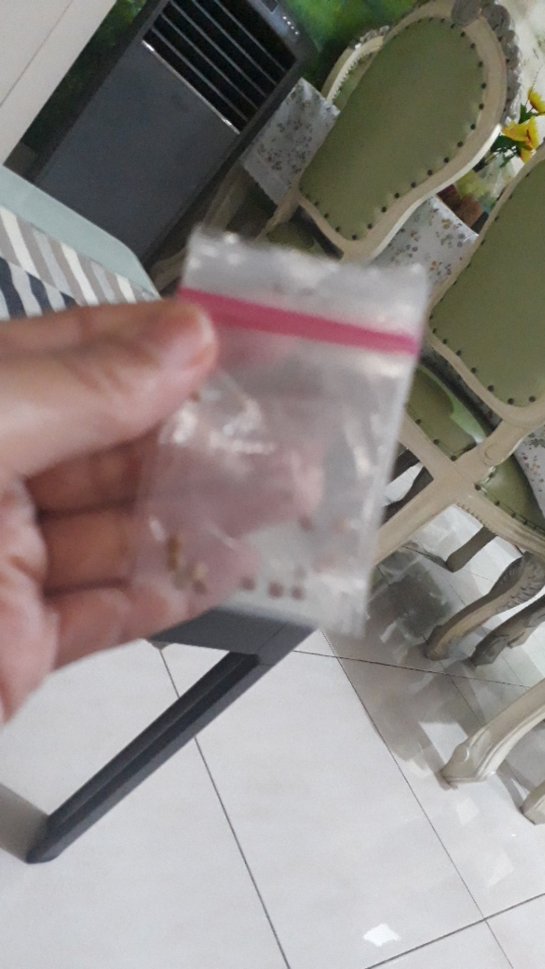 Sd26/3 - Benih Biji Bibit Unggul Kemasan Seribu Bayam Baby Baby Spinach Emilia F1 Import