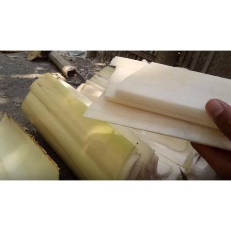 

Gedebog pisang segar 5 kg, gedebok, banana leaf