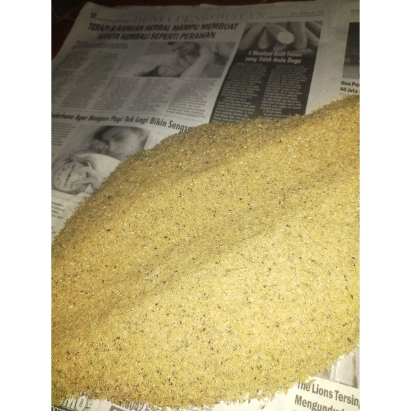 telur jangkrik madu kuning super promo 4ons(400gram)