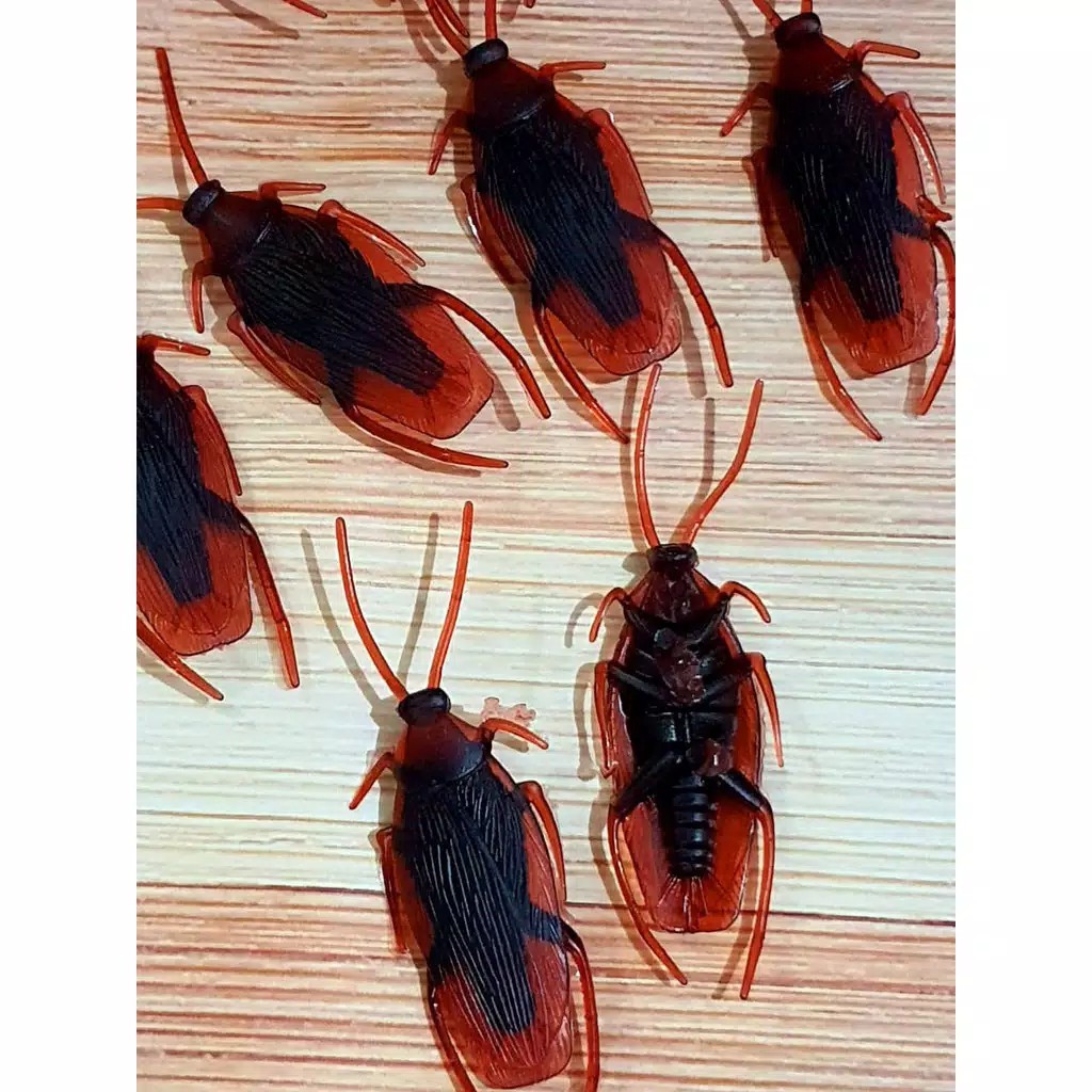 Kecoa Palsu Kecoak Mainan Mirip Asli untuk prank cockroach Toys gag