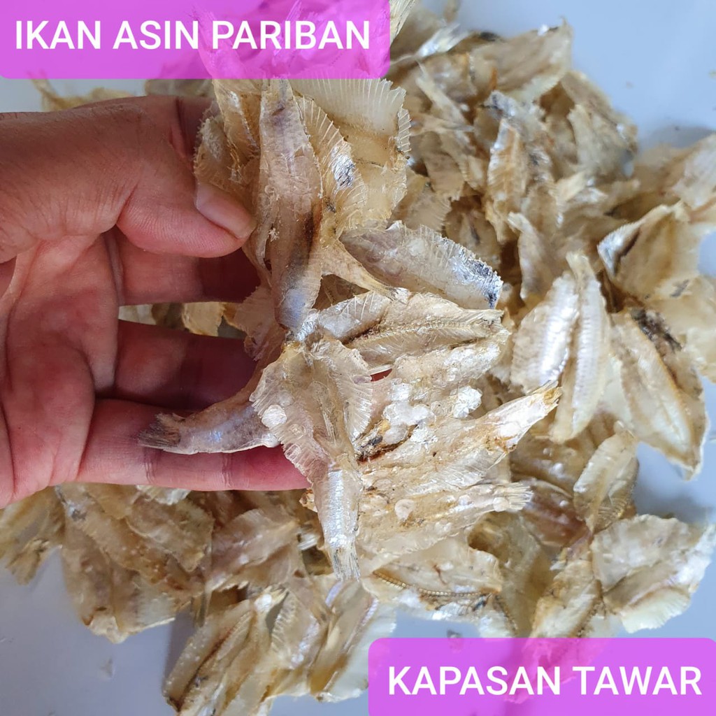 

KAPASAN TAWAR 1 KG - MURAH DAN FRESH KWALITAS EXPORT