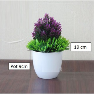  Pohon  Pinus  Plastik Pot Plastik Bunga  Artificial Import 