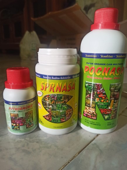 Paket Pupuk Nasa Pelebat Buah Yang Ampuh Terlaris