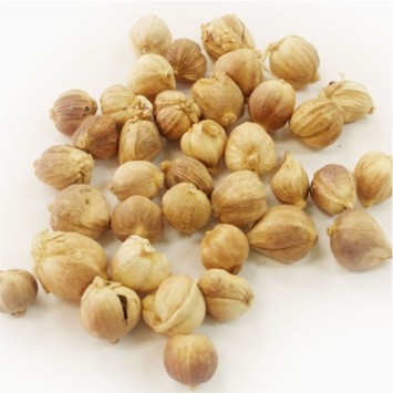 

Kapulaga / Pack 25gr #Bumbu #Segar #Online #Bandung #Cimahi