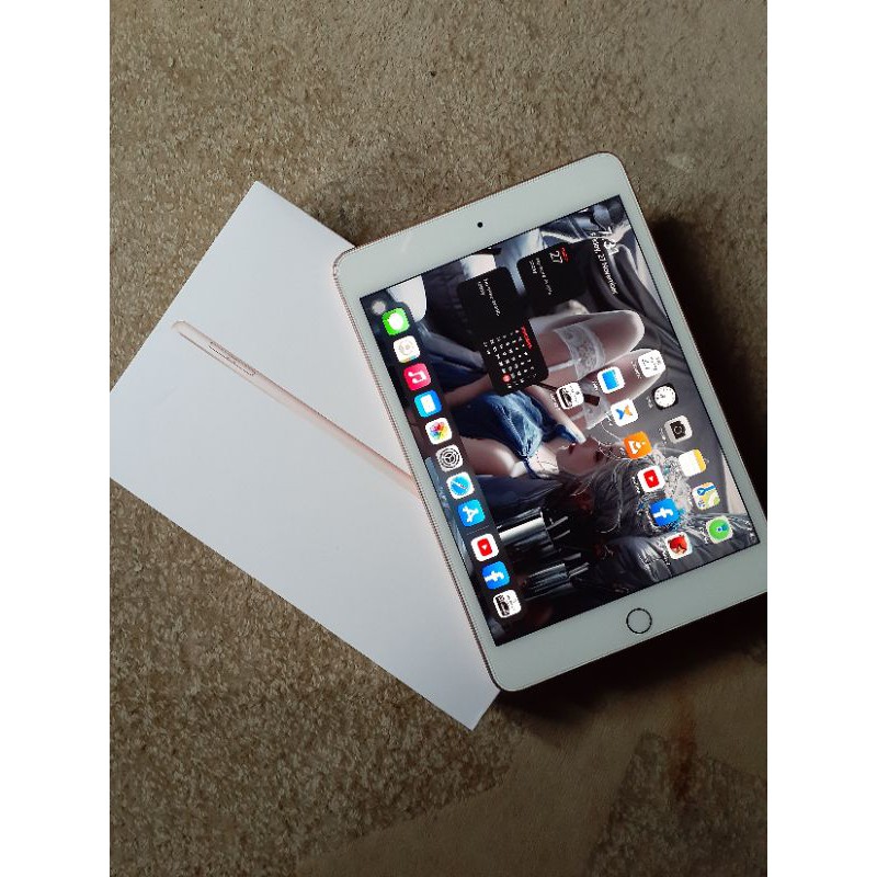 Ipad Mini 5 2019 64GB Wifi Only second like new