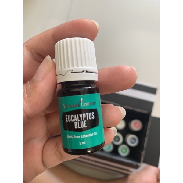 

Eucalyptus blue yl