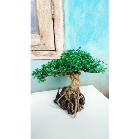 PROMO BONSAI MURAH Shopee BERINGIN full santigi Pasir + DAUN SINTETIS