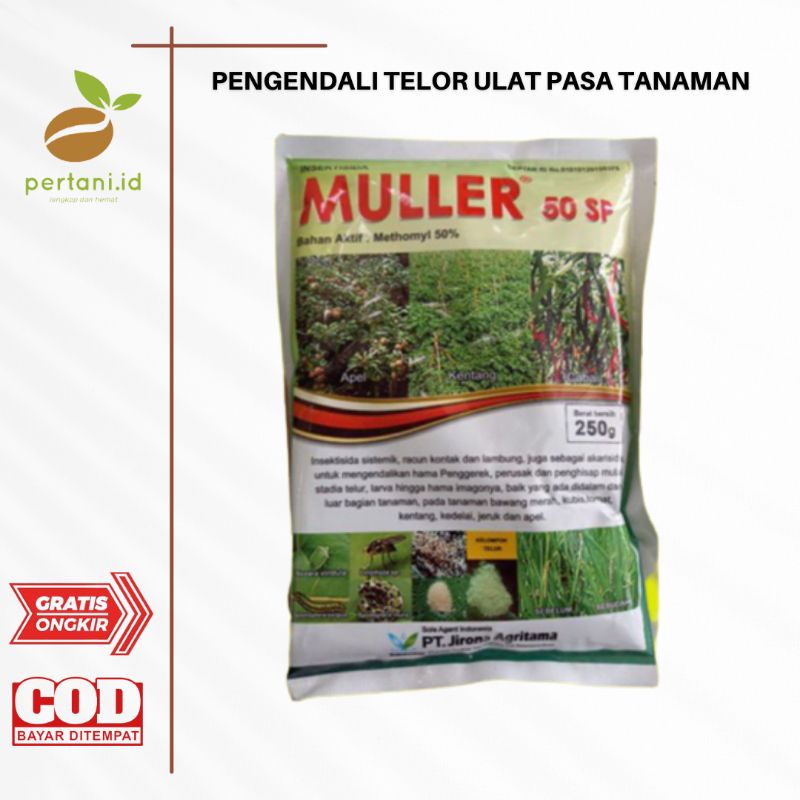 INSEKTISIDA MULLER 50SP 250GR - PENGENDALI TELUR ULAT PADA TANAMAN - PENGENDALI HAMA PADA TANAMAN