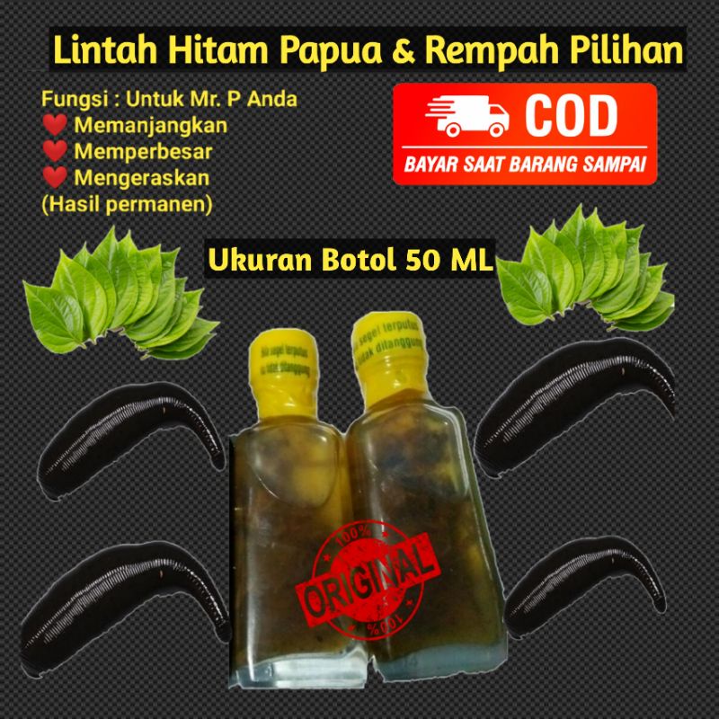 Jual Minyak Lintah Papua Lintah Papua Asli Original Memperbesar Lintah