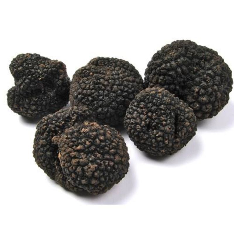 

Fresh Black Winter Perigold Truffles