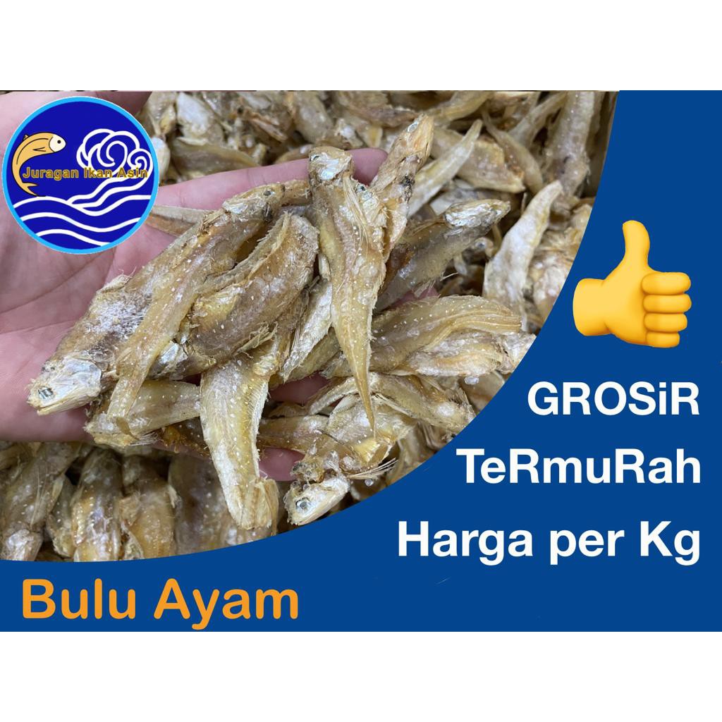 

Ikan Asin BULU AYAM 1kg, GROSIR, MURAH