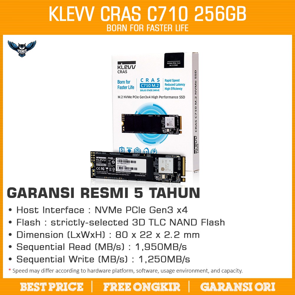 SSD M.2 NVMe KLEVV CRAS C710 256GB