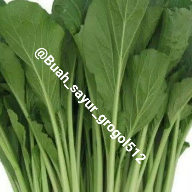 

Cesim / cesim hijau /cesim sayur _ 250gr