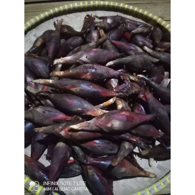

buah galoba atau pining segar 1kg