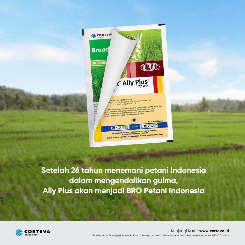 DuPont Ally Plus / BroadPlus 40 gram