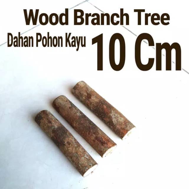 Wood Branch Tree 1-2x10 Cm Dahan kayu potongan kayu bahan craft dekor