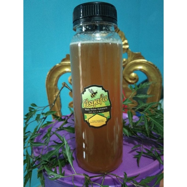 

Madu Hutan Sumatera