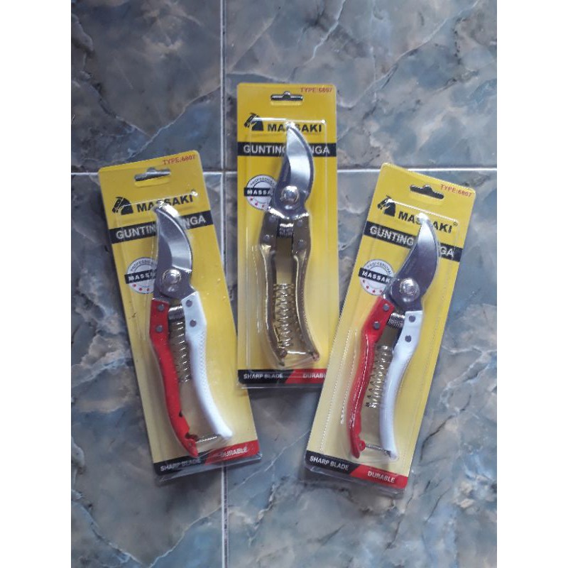 Gunting dahan bonsai