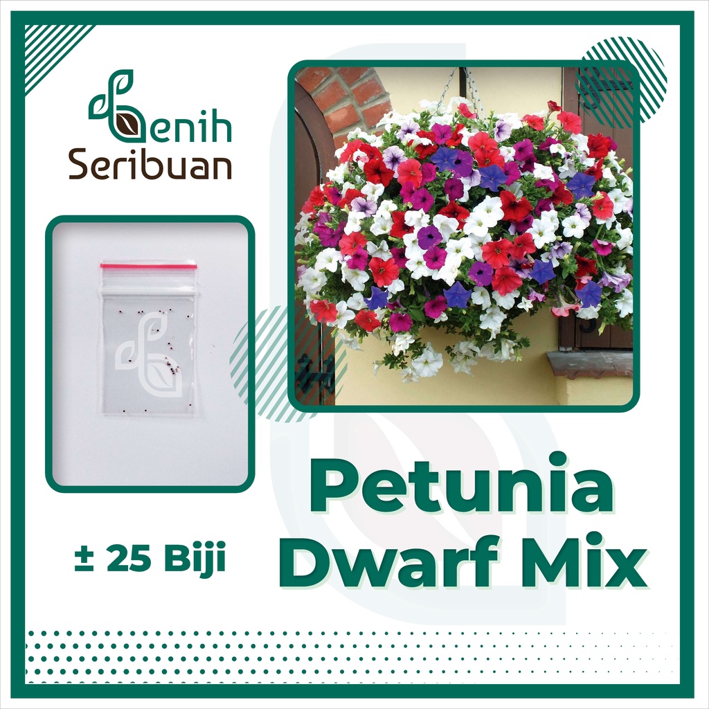 BS-BYL Bibit Bunga Benih Tanaman Bunga Hias Matahari Mawar Aster Vinca Krisan Telang Sunflower Krokot Lavender Marigold Zinnia-PETUNIA DWARF MIX
