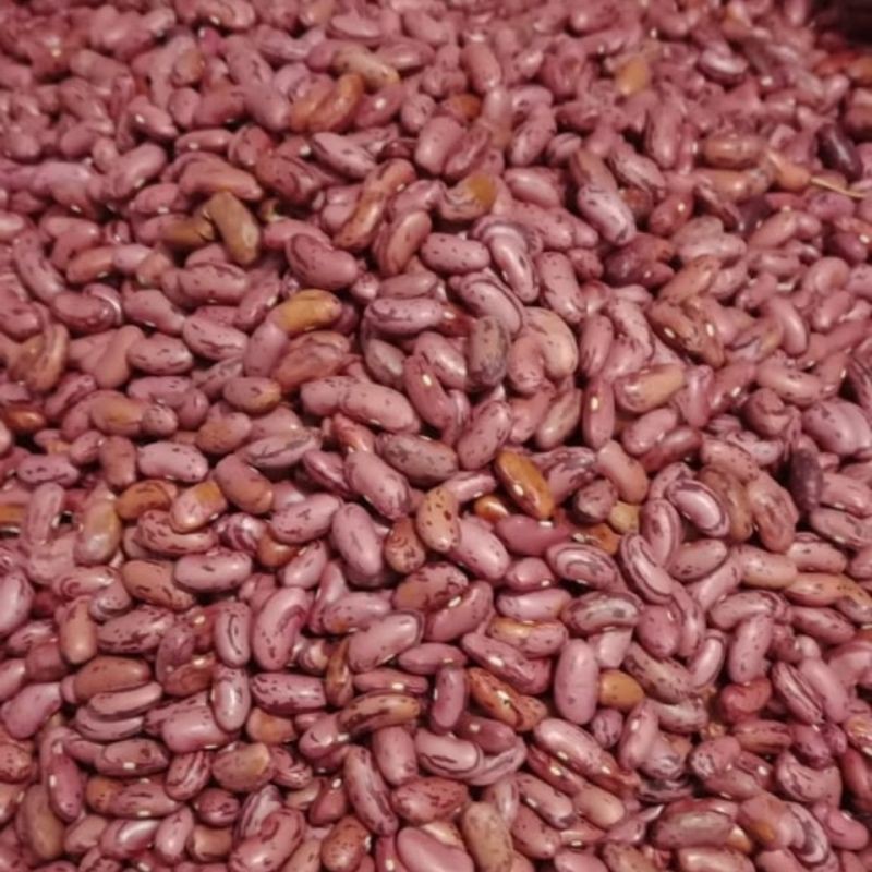 

250GR KACANG JOGO KACANG MERAH