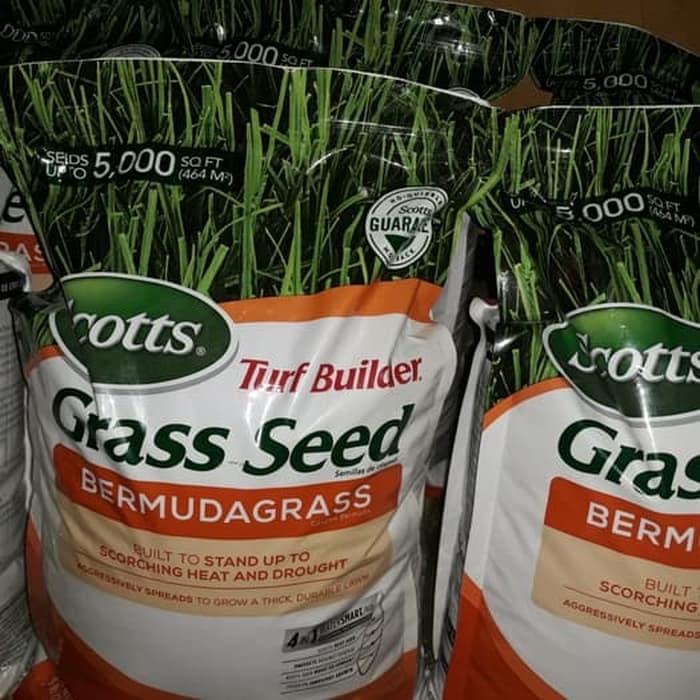 benih rumput golf-benih rumput babat-benih biji rumput bermuda