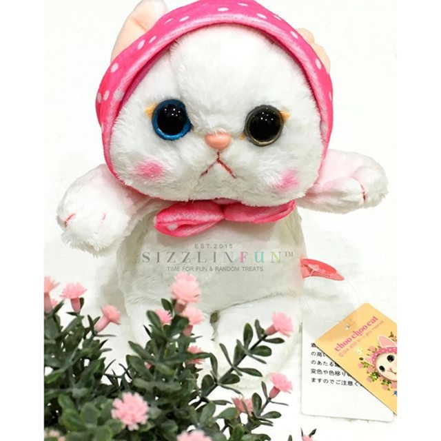 Boneka Choo Choo Cat (Premium Quality)