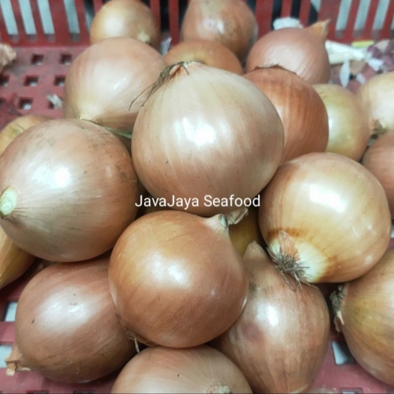 

Bawang Bombay 500 gr / Sayur Segar