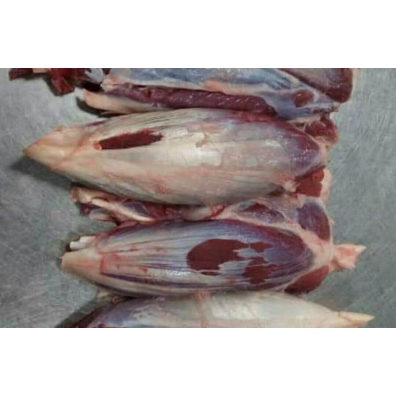 

dging kisi/shank 1kg