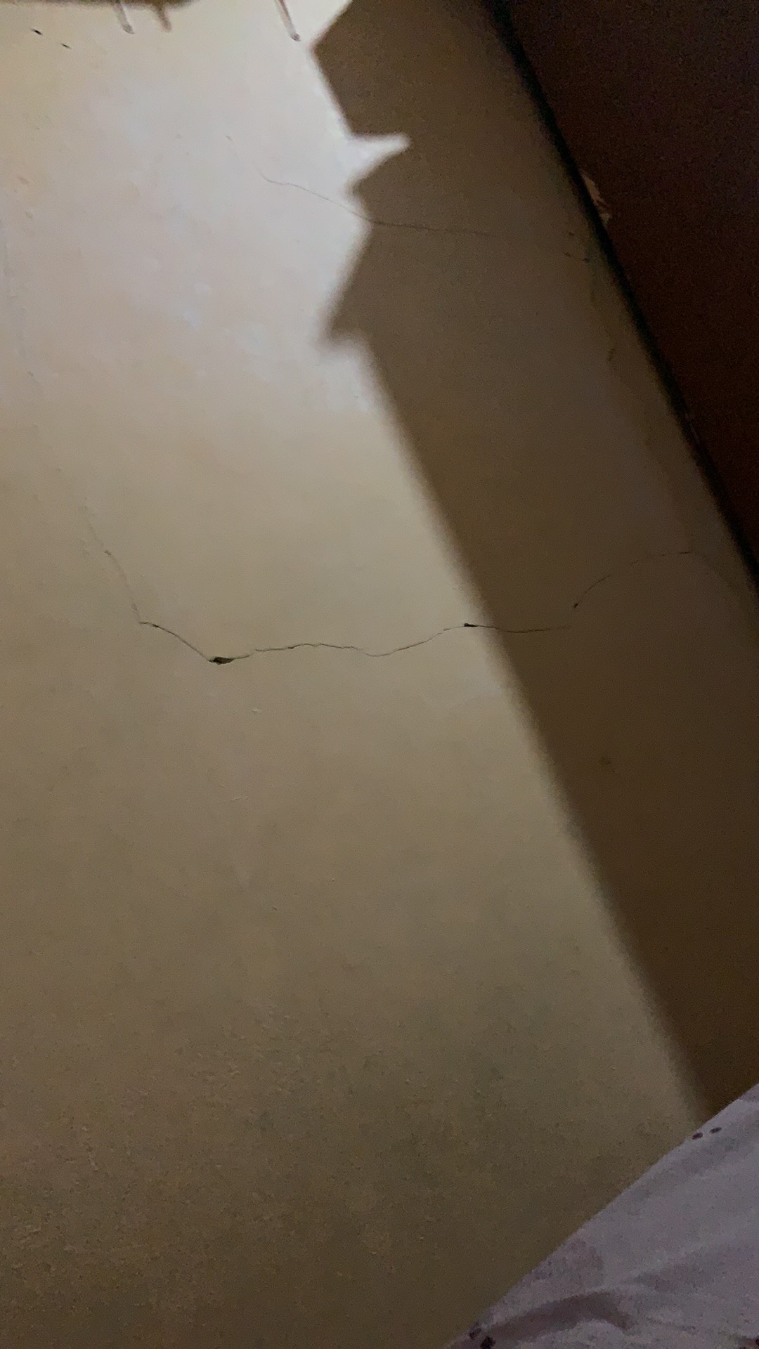 Racun Lalat Zhang Pei Zhen Pembasmi Lalat Laler