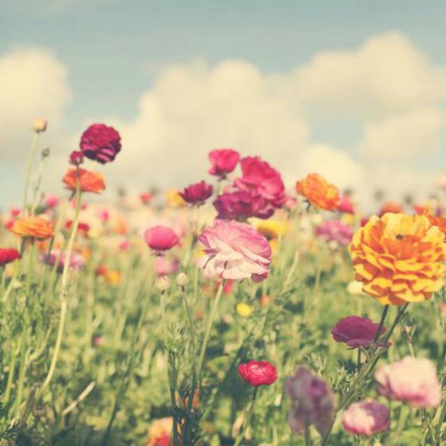 inggit.hasti.madziyyah