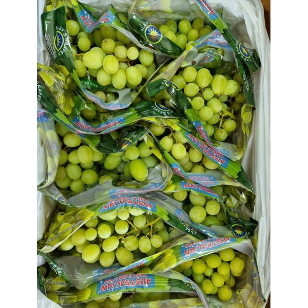 

Anggur Hijau Manindee Australia 1 Dus (8.5 KG) Fresh Import