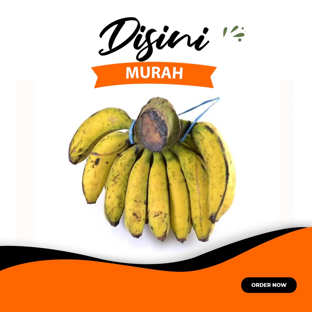 

pisang raja