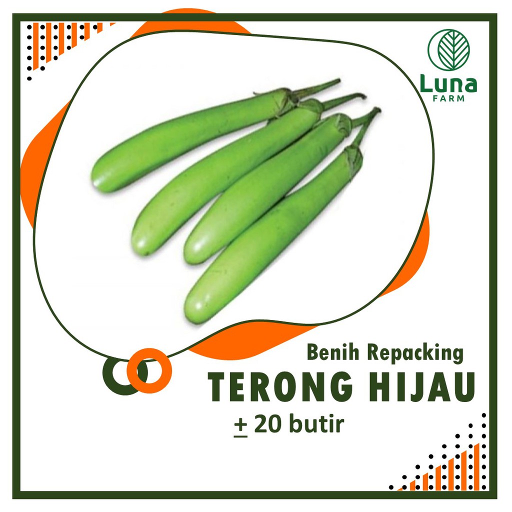 Jual Benih Terong Hijau Butir Biji Bibit Sayuran Buah Terung Ijo Seribuan Shopee Indonesia