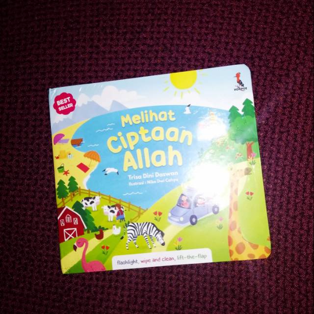 Melihat Ciptaan Allah