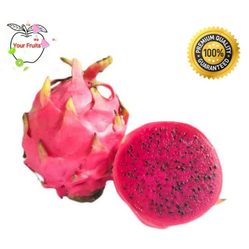 

YF Buah Naga Merah 1 buah