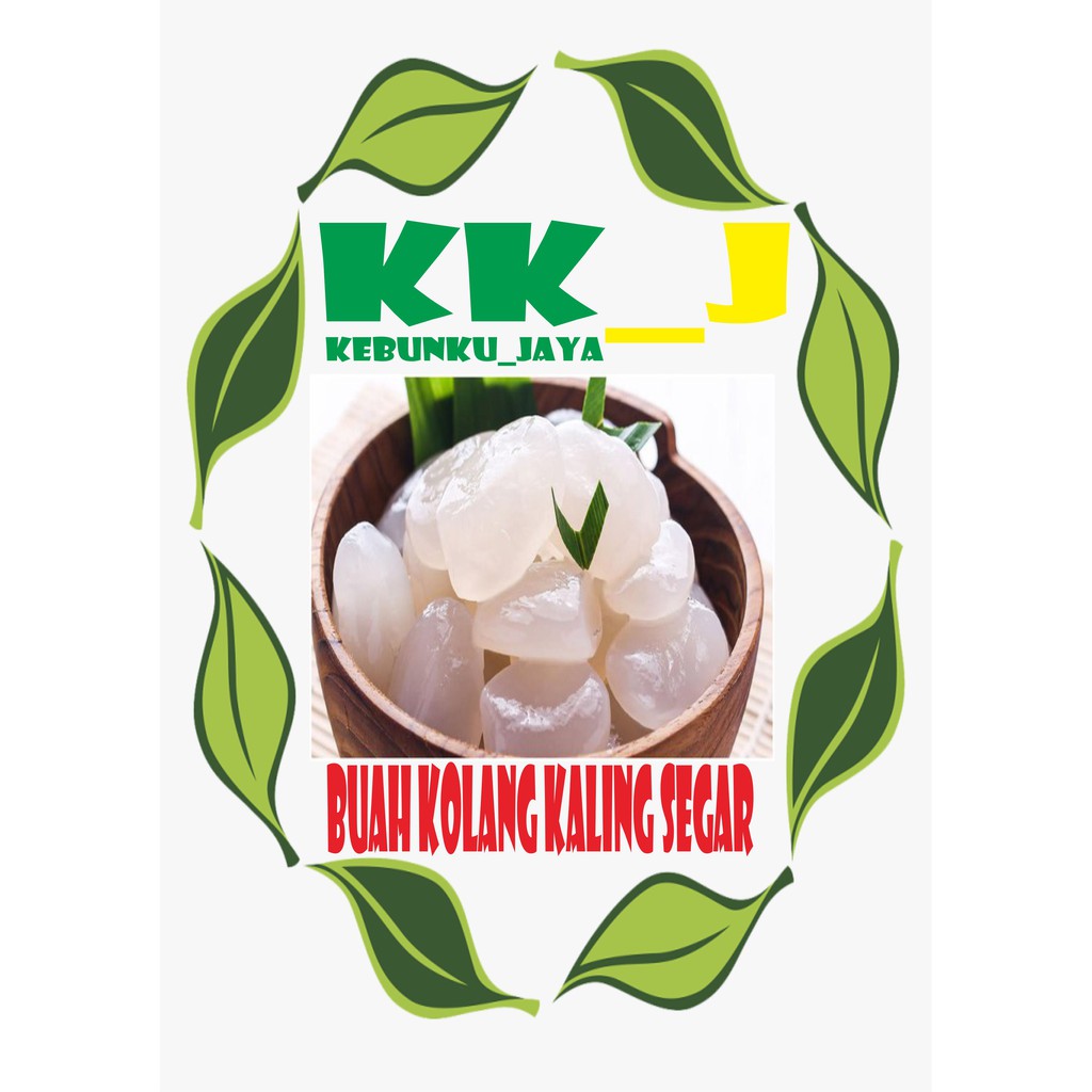 

KOLANG KALING SEGAR 500 GRAM MURAH KEBUNGKU_JAYA