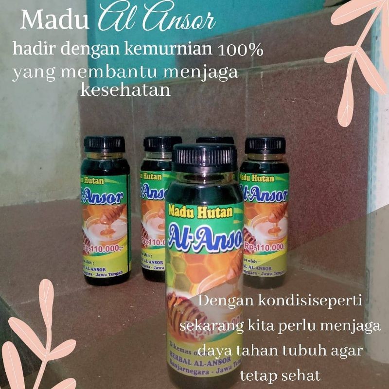 

Madu Murni Al Anshor